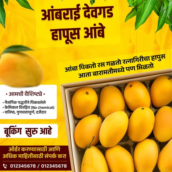 Creative Devgad Hapus Aambe Booking Banner Design Marathi | Mango Order Poster 2026