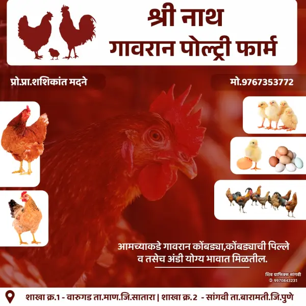 Creative Poultry Farm Business Advertisement Design Marathi | Farm Banner 2026