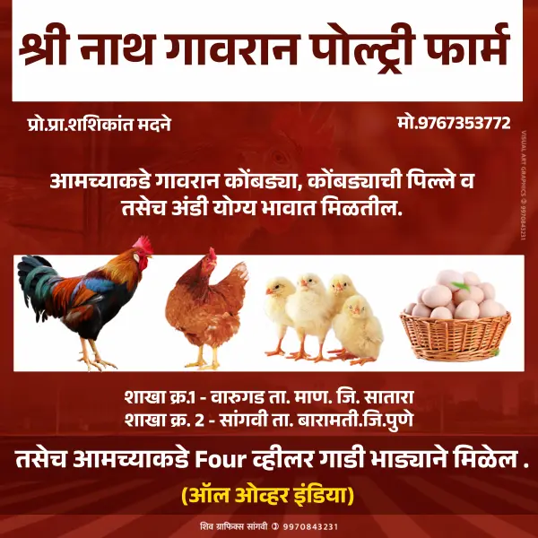 Gavran Poultry Farm Shop Banner Advertisement Design Marathi | Farm Poster 2026